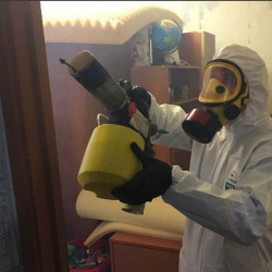 Уничтожение клопов в квартире. Задонск